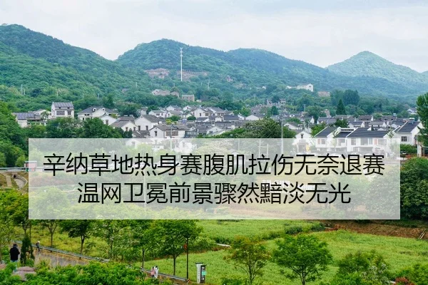 xin-na-cao-di-re-shen-sai-fu-ji-la-shang-wu-nai-tui-sai-wen-wang-wei-mian-qian-jing-zhou-ran-an-dan-wu-guang-2-501.jpg